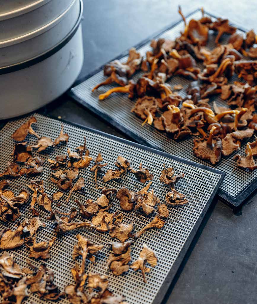 Preserving Mushrooms