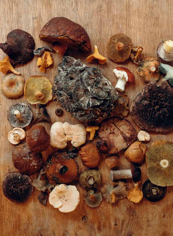 Sensitivity and Toxicity