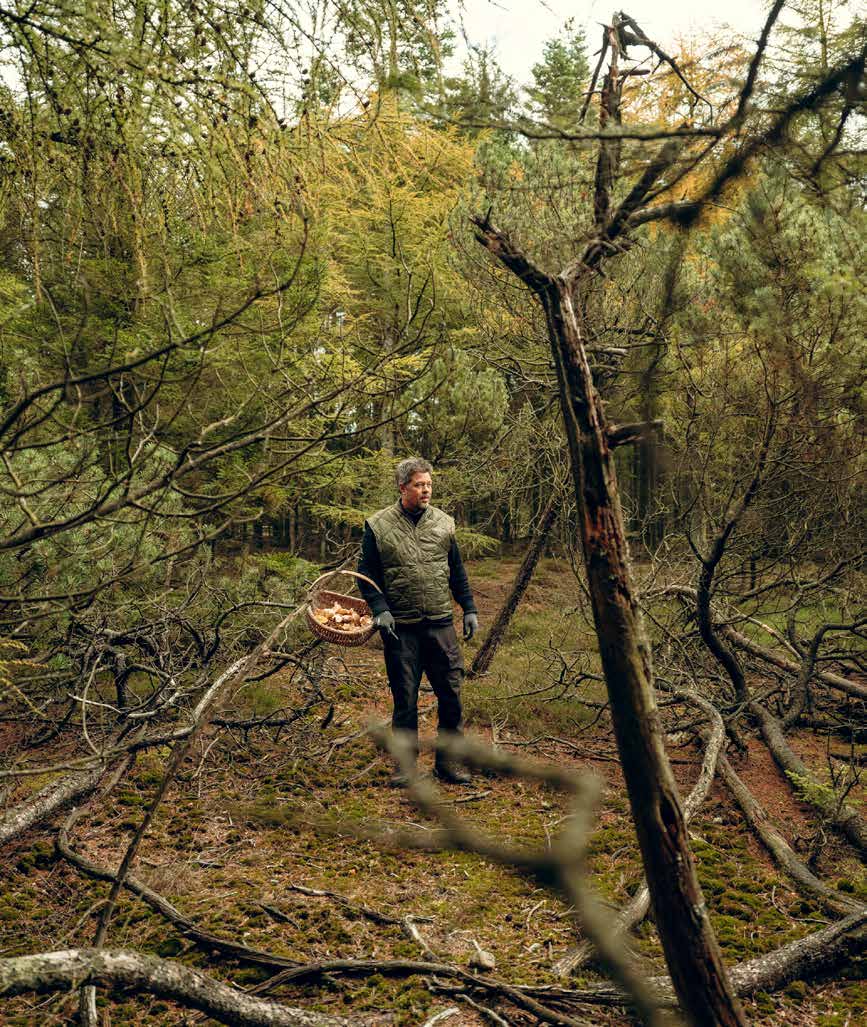 Mushrooms Are the Future