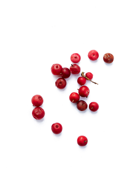 Lingonberry