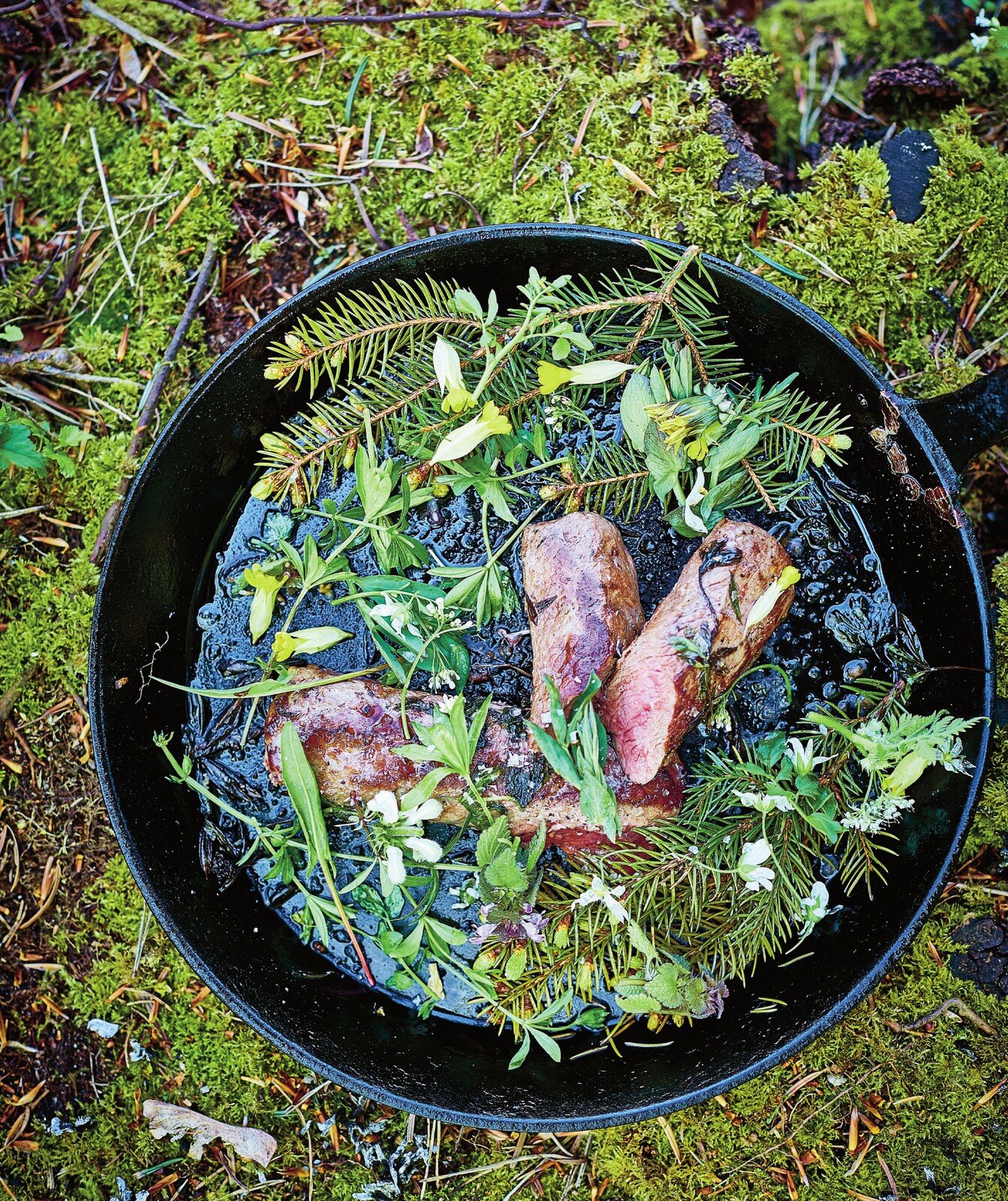 Roebuck with sweet woodruff and spruce