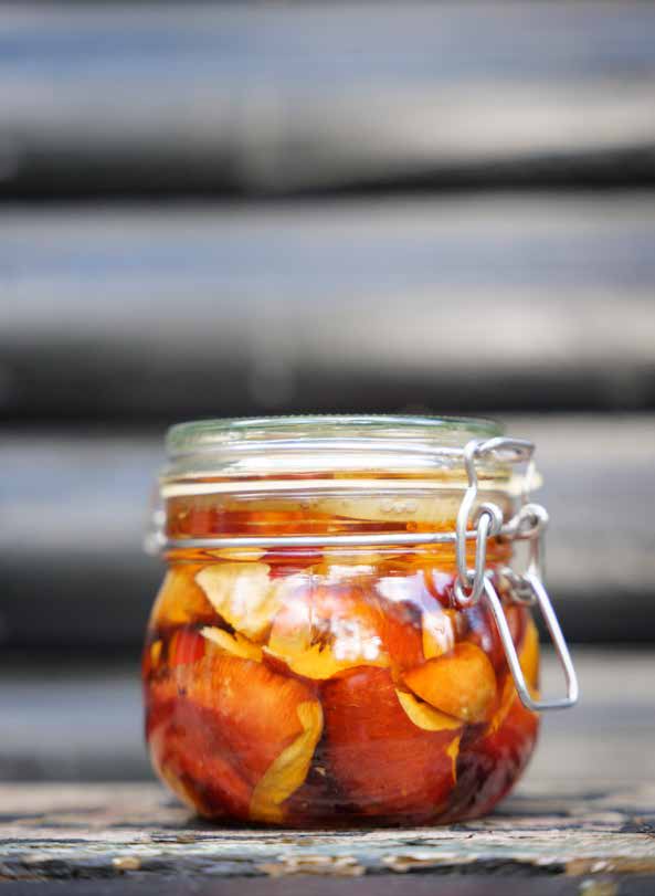Pickled brittlegill